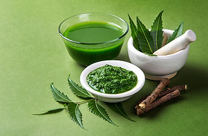 medicinal-neem-leaves-mortar-pestle-with