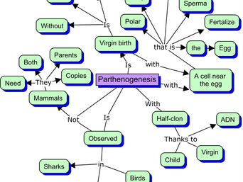 Some of my English work