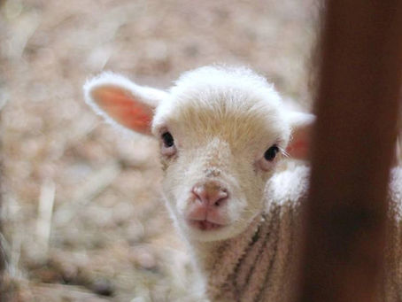 8월 14일(수) QT 초태생을 드리는 이유