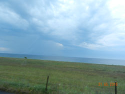 DSCN8433