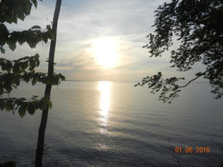 DSCN8545
