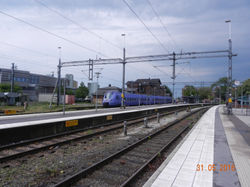 DSCN8449