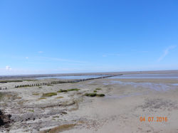 Ebbe