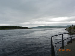 Saltstraumen