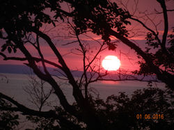 DSCN8554