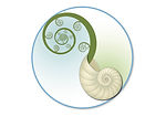 logo only.jpg