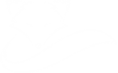 Fuchs_Vektor_ws.png