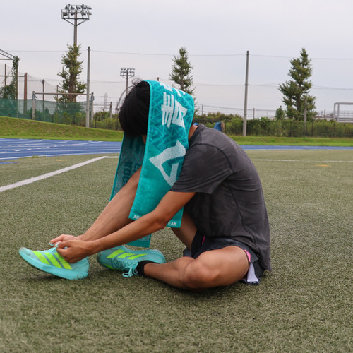 今治マフラータオル | aogakuekidenshop