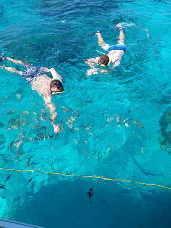 Snorkeling grand cayman island boat tour
