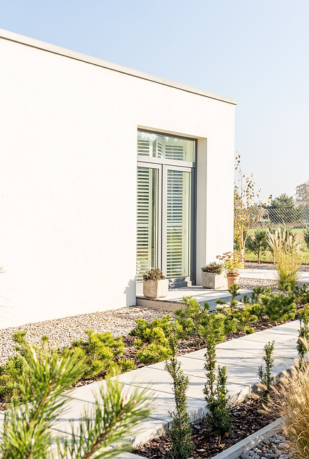 green-plants-and-shrubs-in-the-garden-of-modern-ho-2024-10-18-10-16-23-utc-min.jpg