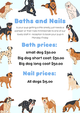 Brown Black White Cute Playful Dogs A4 Stationery Page Border.png