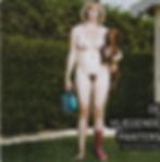 De Vliegende Panters