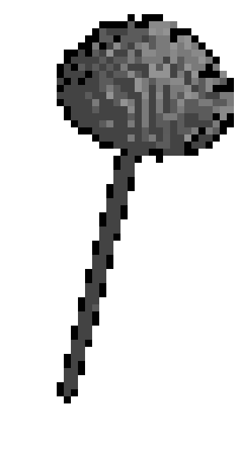 throphy-ezgif.com-crop.gif