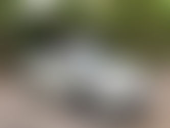 プロショップ出店