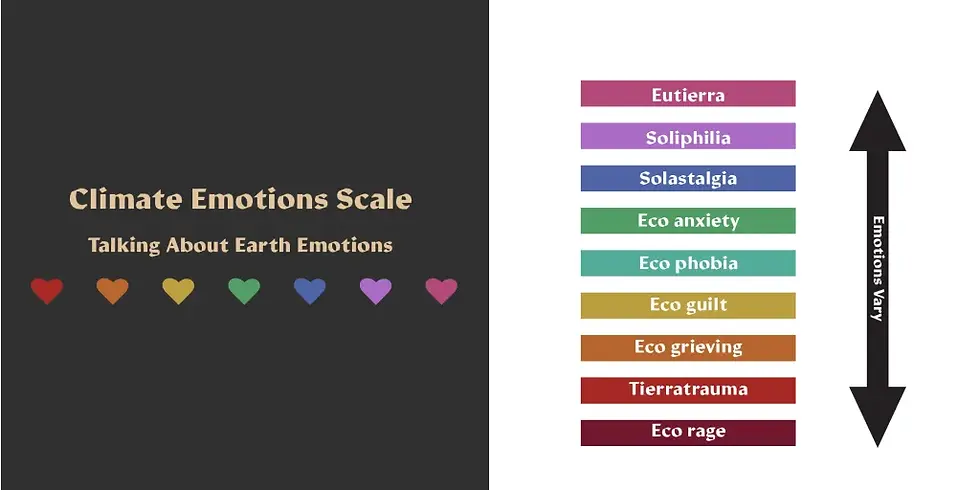 climate emotions scale.webp