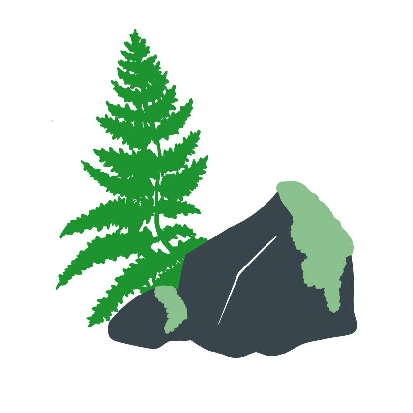 Writer: Moss & Fern Counselling