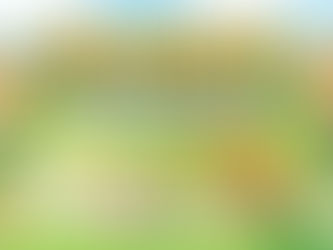 《牧場物語：橄欖鎮與希望的大地》季票內容簡評
