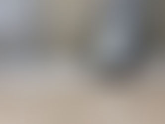 ロボット豊田市初上陸