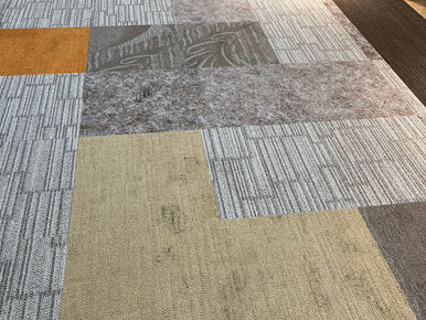 カーペットの汚れの落とし方