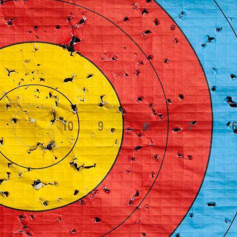 Neues von den Bogenfüxen