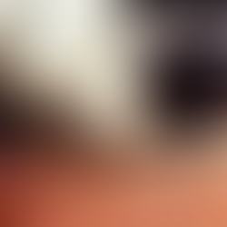 THE BEST BOOKS TO READ WITH YOUR FAVORITE WINE