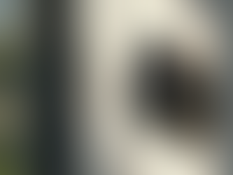 Innovative Product Success Stories