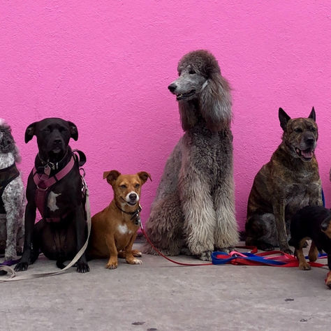 Product Mix: Who's Mommy's Favorite?...