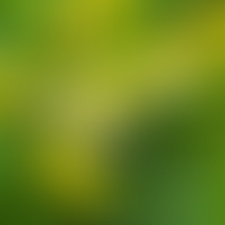 It's the Little Things...