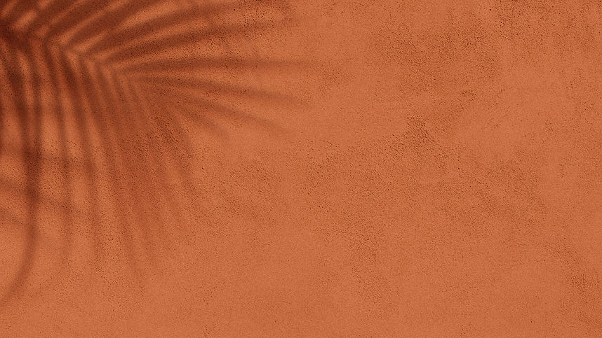 palm-leaf-shadow-orange-wall.jpg