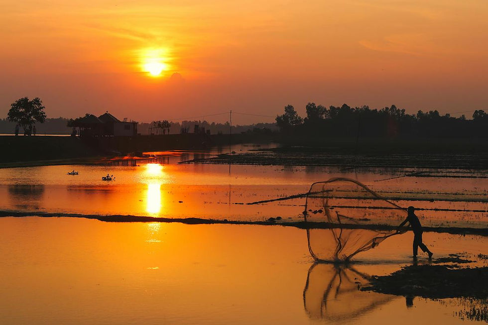Man casts a net at sunset.