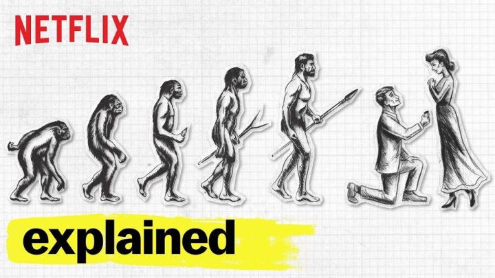 Explained | Netflix Original Series