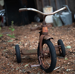 trike-DEB_6438_edited.jpg