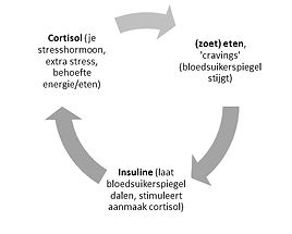 cortisol-insuline_zoetbehoefte_ suikerverslaving