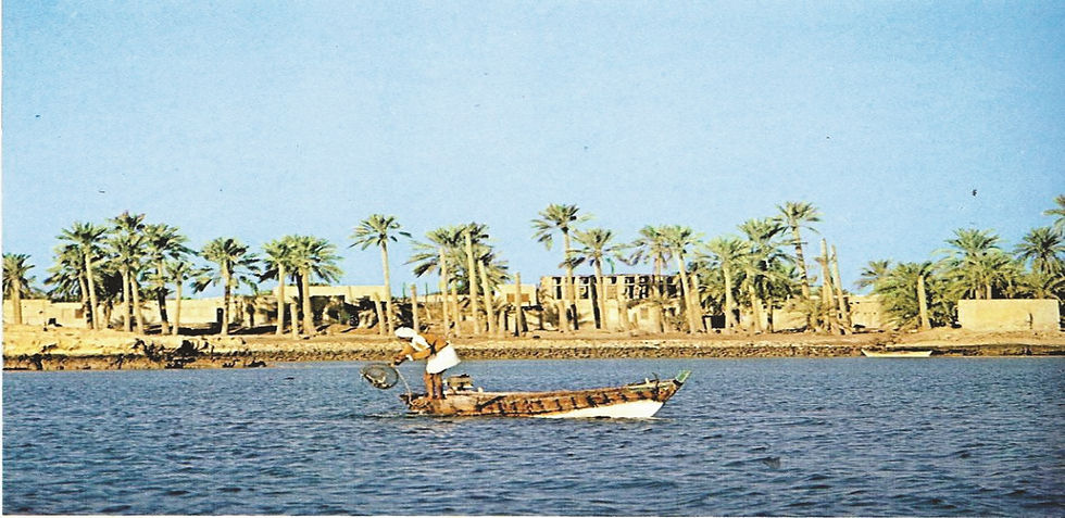 أرض دلمون.jpg