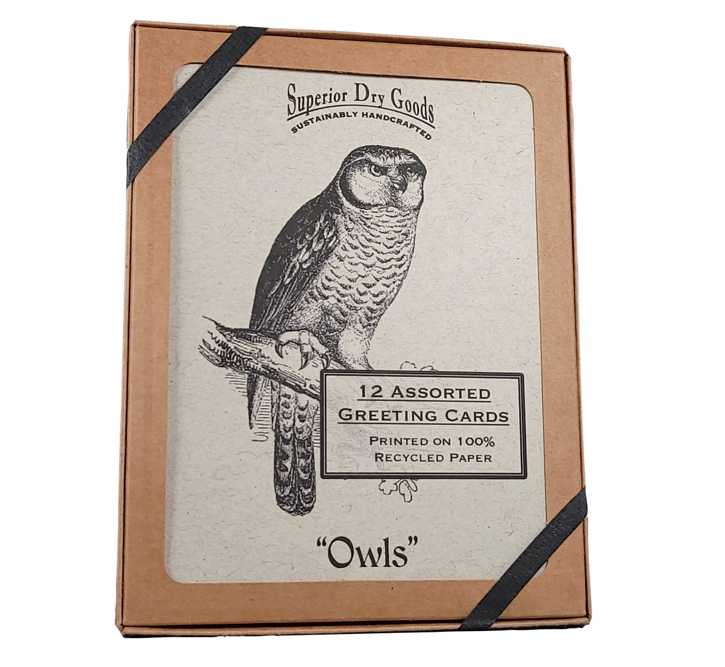 Note Card Set- Charming Owls