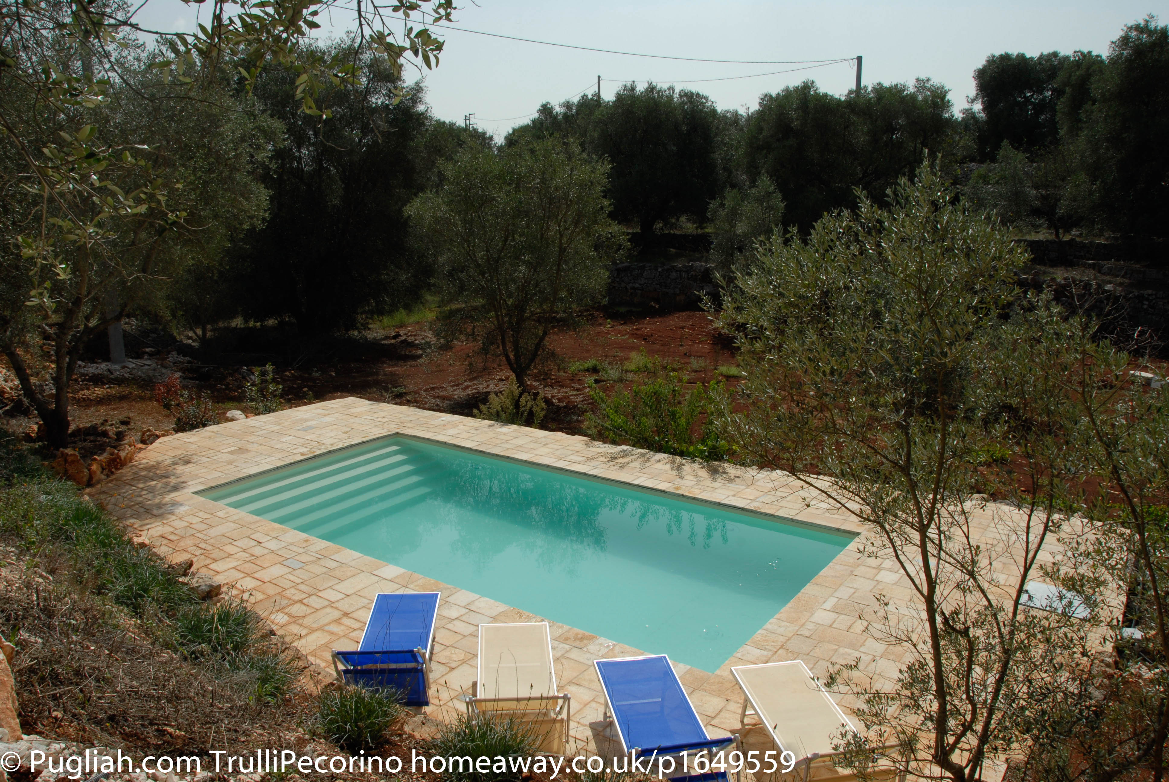 TrulliPecorino Pool Pugliah.com