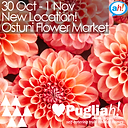 Ostuni Hortus Flower Market