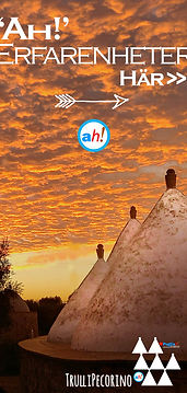 SWE Puglia Experiences Verticle Banner.jpg