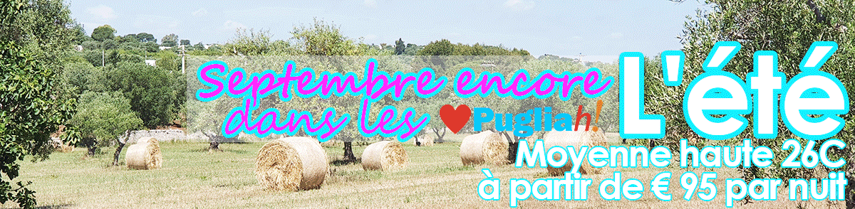 FRA2-Sept-Still-Summer-GIF.gif