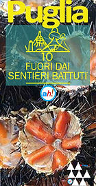 Cose da fare in puglia, miglior cibo in puglia, ciclismo puglia, escursionismo puglia, passeggiate in puglia, spiagge puglia, vino puglia, degustazione olio d'oliva, degustazione vino puglia, giornate di mercato puglia, musei puglia, ulivi, spiagge nascoste