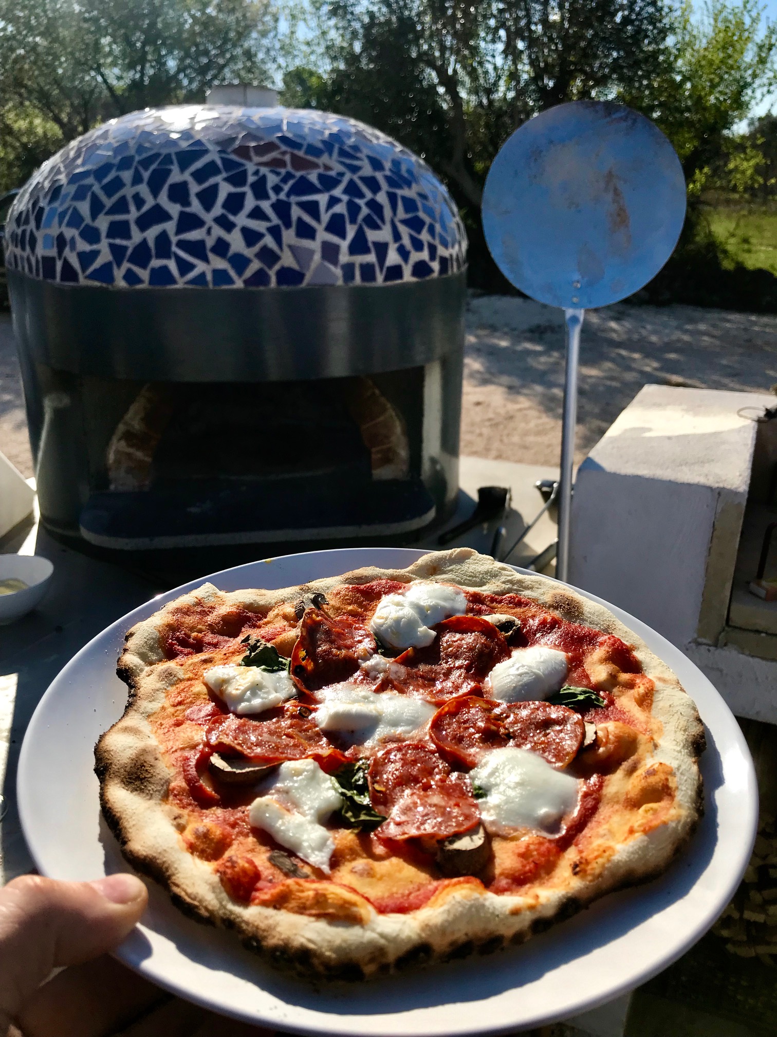 Wood-burning Pizza Oven