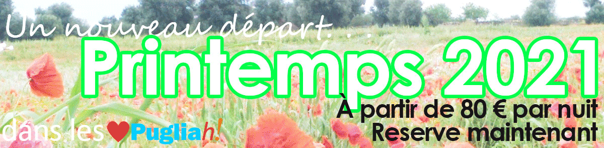 FR-BANNER-GIF-SPRING-fr.gif