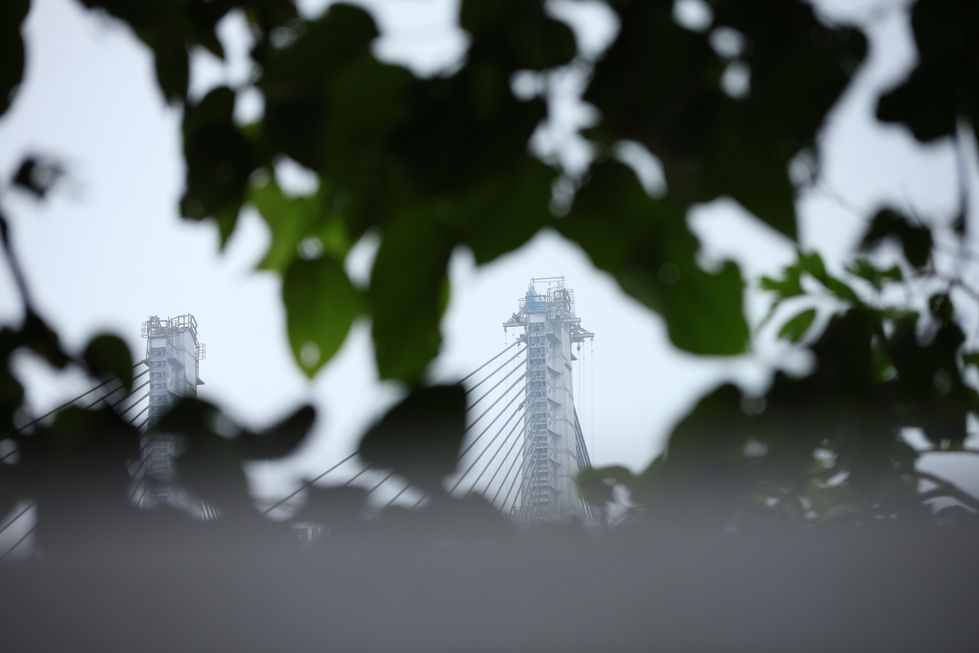 _MG_2584