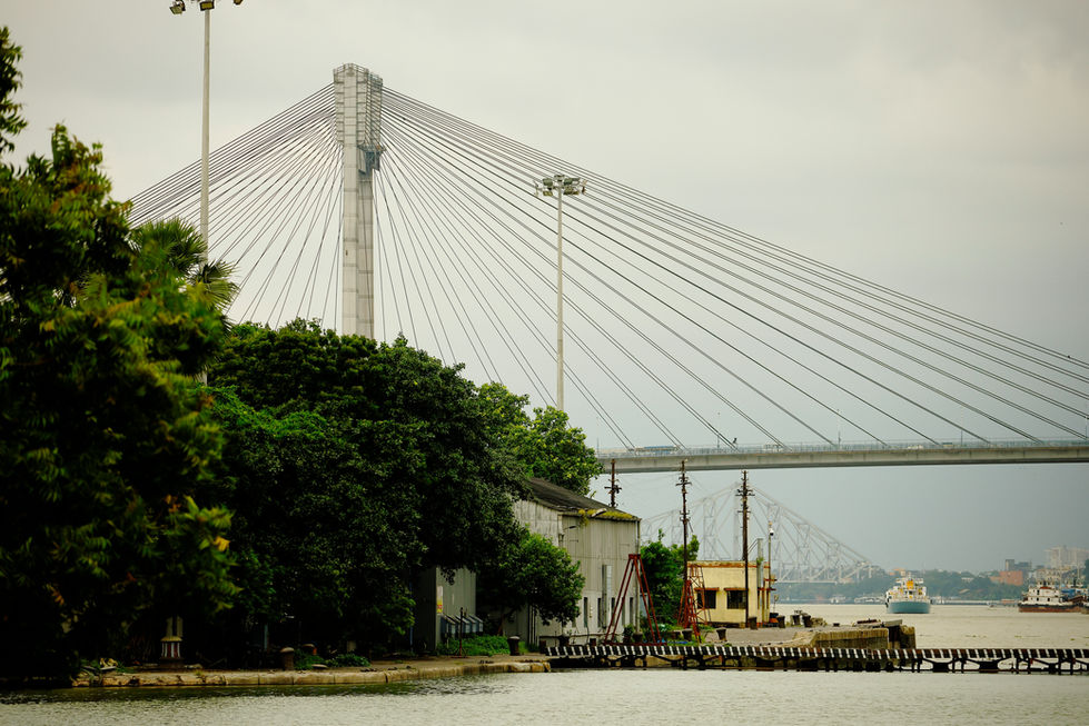 _MG_3611_Nn