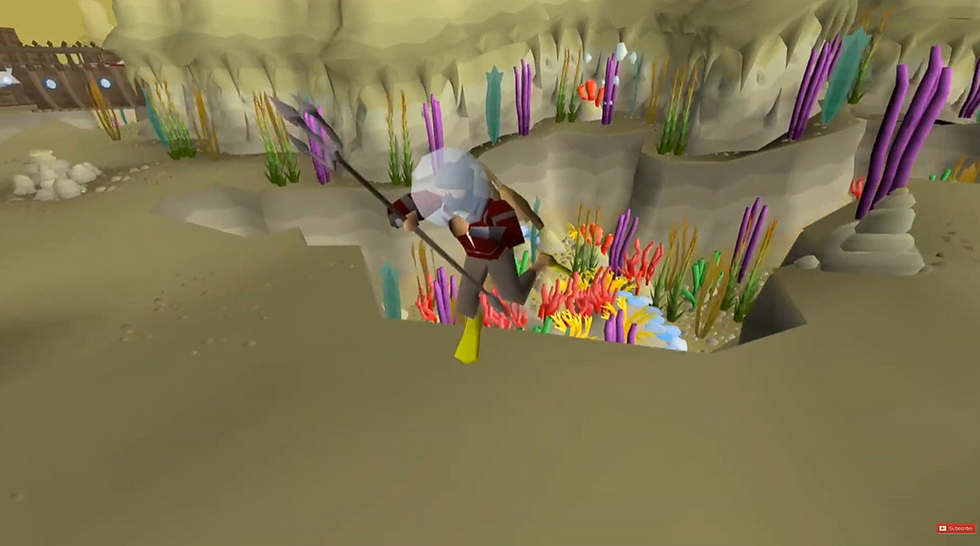 Drift Net Fishing - Fast Hunter & Fishing XP (OSRS)