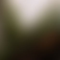 ローズカントリー