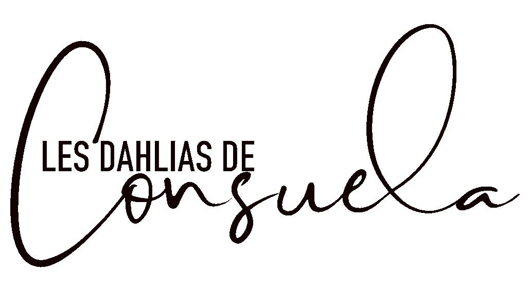 logo dahlias de consuela_noir_transp.gif