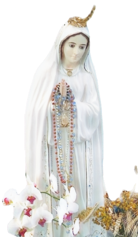fatima2_edited_edited_edited.png