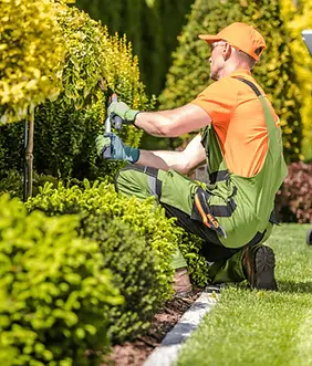 Jardinería y landscaping.webp
