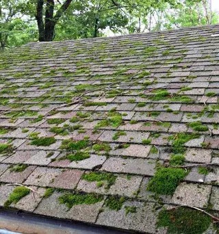 Roof Cleaning In Cookeville, TN